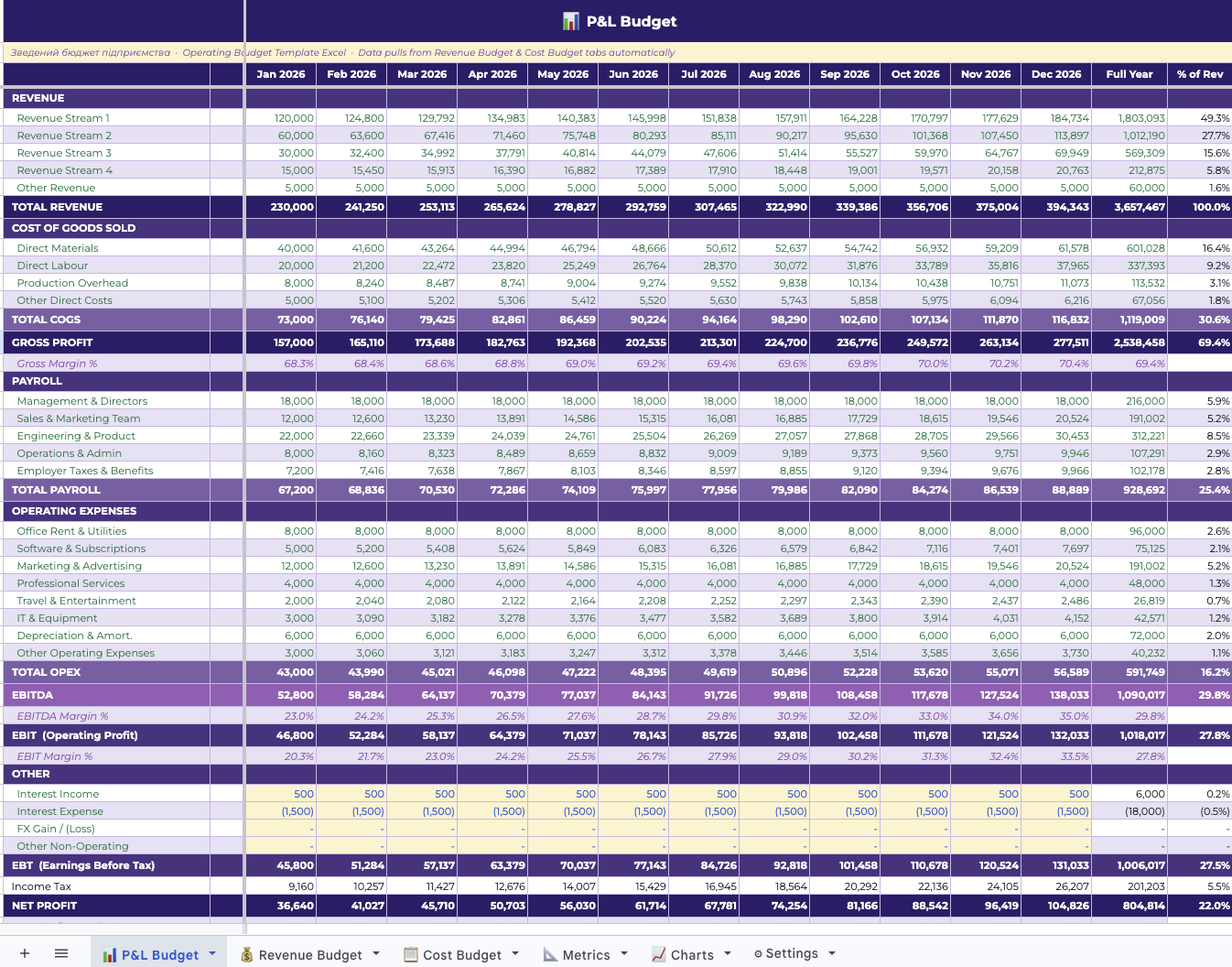 P&L Budget dashboard — revenue, COGS, payroll by month